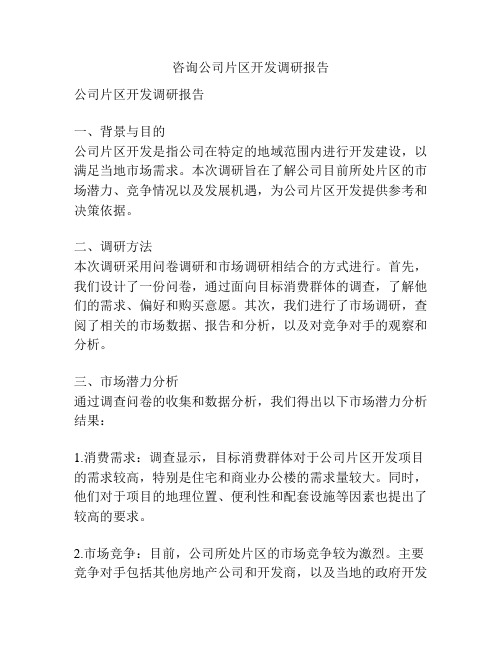 咨询公司片区开发调研报告