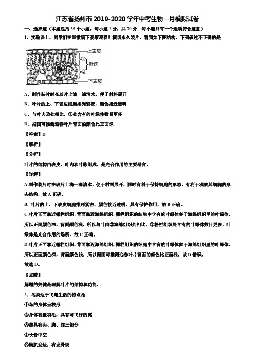 江苏省扬州市2019-2020学年中考生物一月模拟试卷含解析