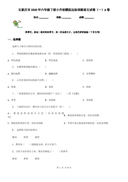 石家庄市2020年六年级下册小升初模拟达标训练语文试卷(一)A卷