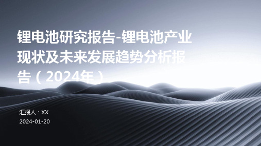 锂电池研究报告-锂电池产业现状及未来发展趋势分析报告(2024年)