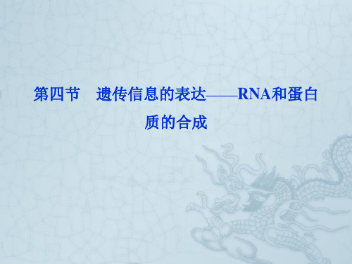 【优化方案】高考生物总复习 第三章第四节遗传信息的表达-RNA和蛋白质的合成课件 浙科版必修2