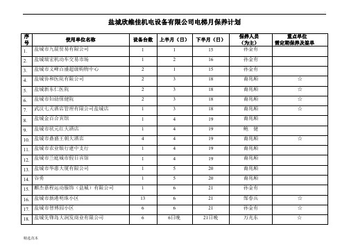 电梯月保养计划表格