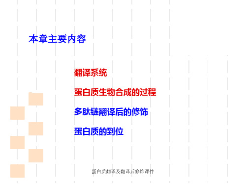 蛋白质翻译及翻译后修饰课件.ppt