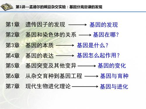 (ppt)一轮复习分离定律