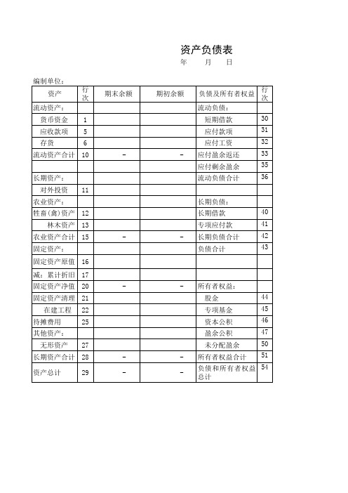 农业合作社资产负债表