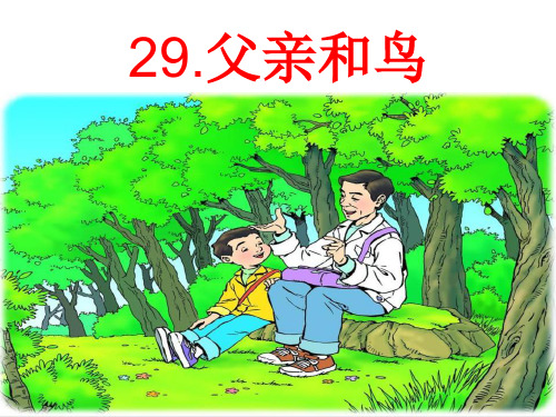 《父亲和鸟》教材课件PPT