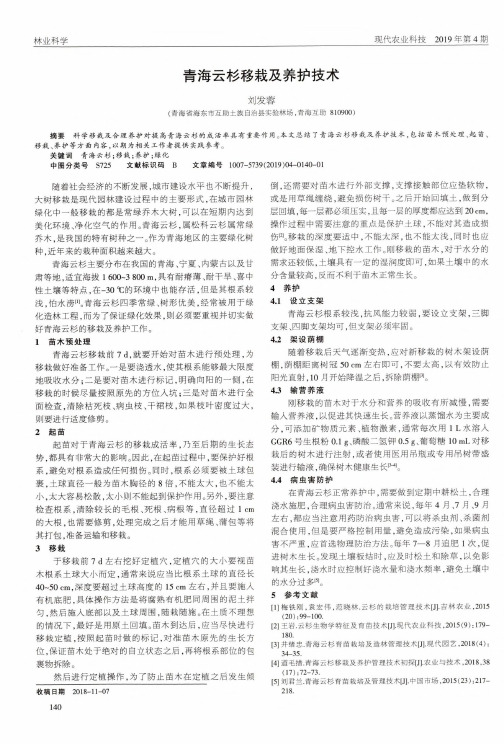 青海云杉移栽及养护技术