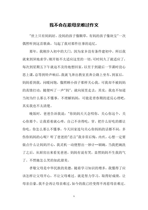 我不会在惹母亲难过作文