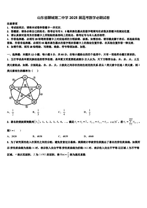 山东省聊城第二中学2025届高考数学必刷试卷含解析