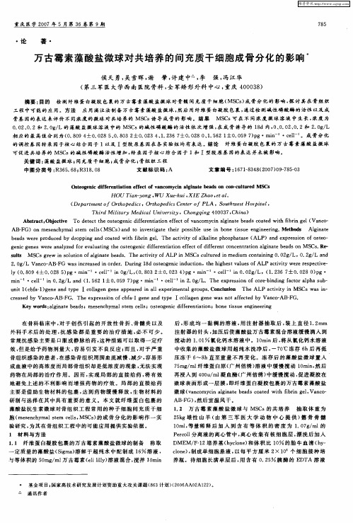 万古霉素藻酸盐微球对共培养的间充质干细胞成骨分化的影响