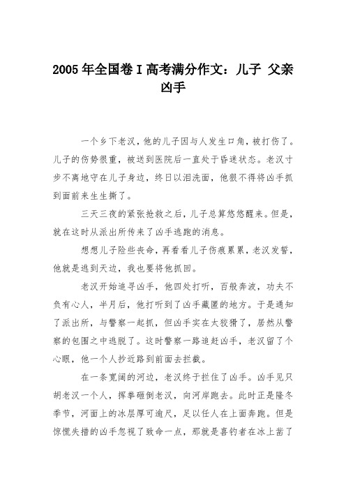 2005年全国卷I高考满分作文：儿子 父亲 凶手