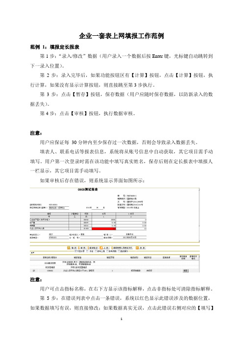 企业一套表上网填报工作范例.doc