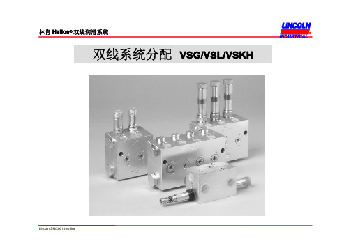 林肯分配器VSG中文