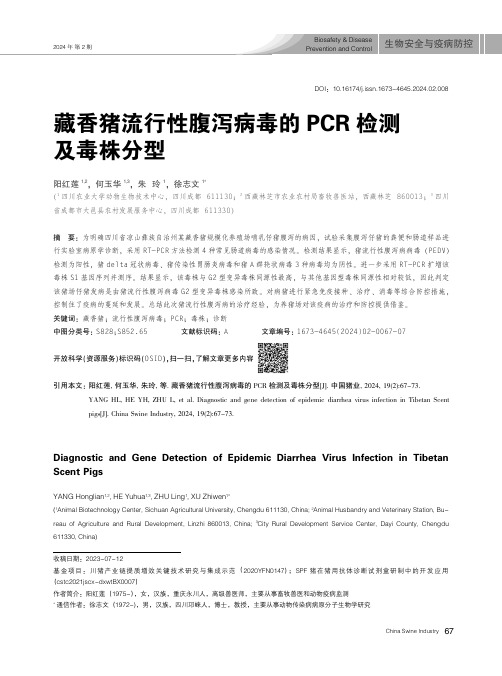 藏香猪流行性腹泻病毒的PCR_检测及毒株分型