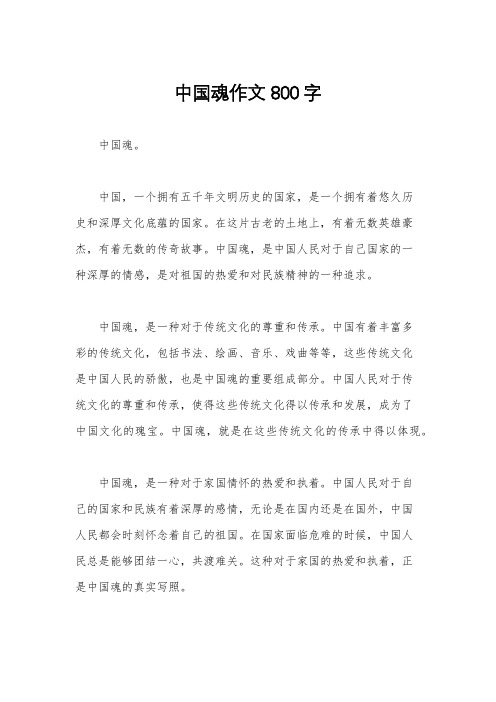 中国魂作文800字