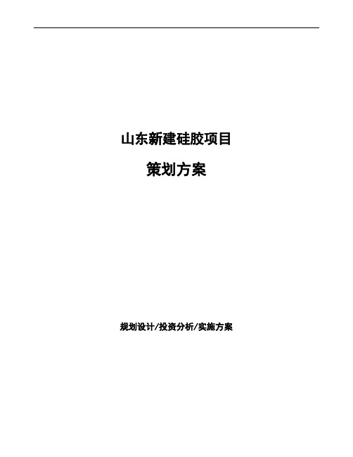 山东新建硅胶项目策划方案