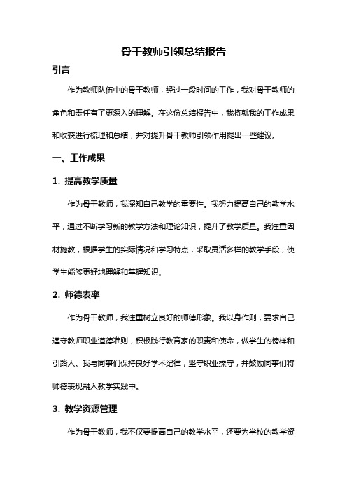 骨干教师引领总结报告