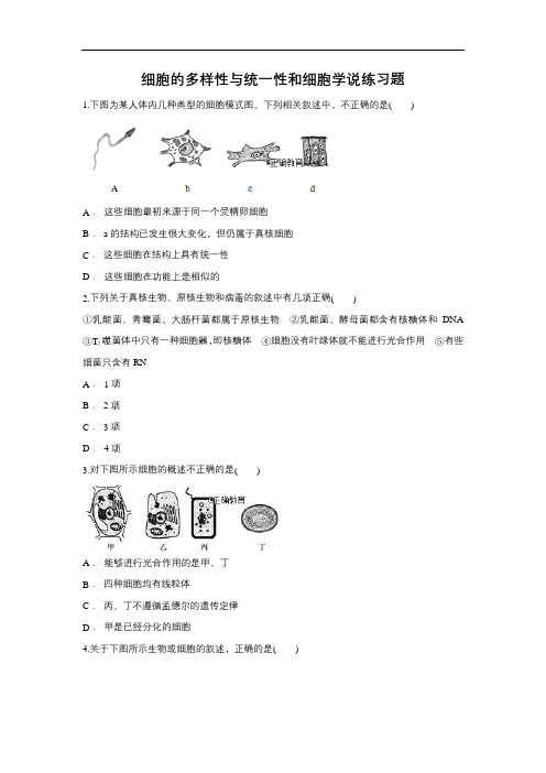 2019届高考生物一轮复习对点精选训练:细胞的多样性与统一性和细胞学说(含解析)