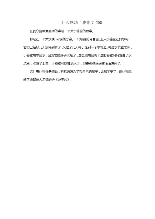 什么感动了我作文200