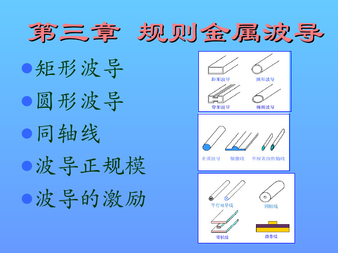 导模的场结构