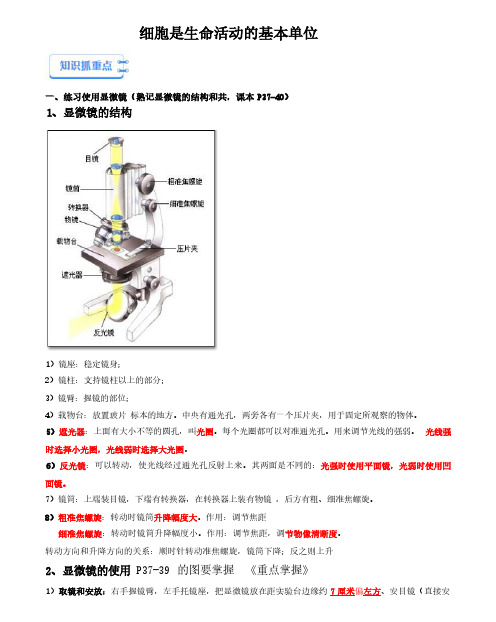 细胞是生命活动的基本单位-备战2024年初中中考生物学复习抓重点考典型