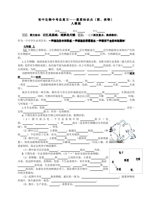 初中生物中考总复习——重要知识点(图、表等)