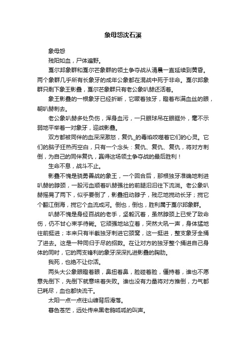 象母怨沈石溪