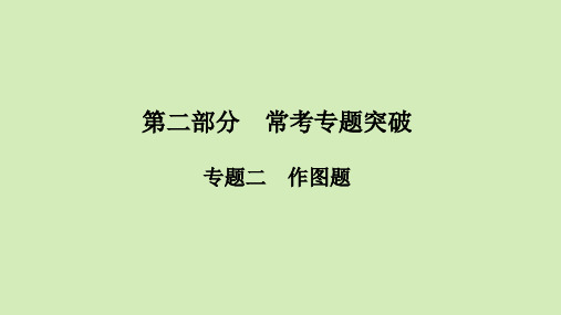 河南省人教版物理中考第一轮知识点过关  专题2 作图题