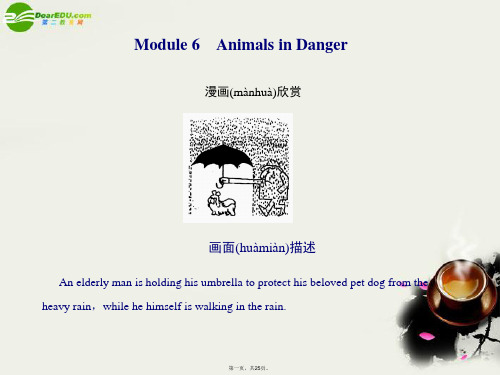 高考英语一轮复习 Module6课件 外研版必修5