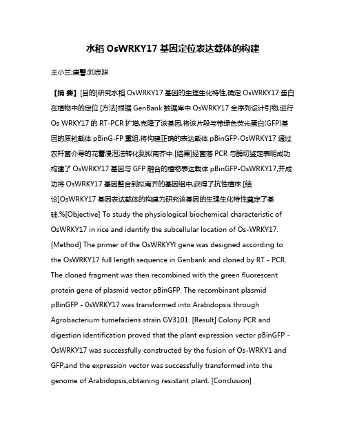 水稻OsWRKY17基因定位表达载体的构建