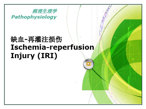 病理生理学课件：IRI 缺血-再灌注损伤