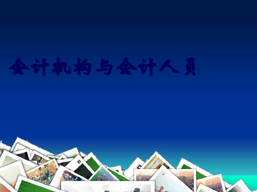 会计监督复习题