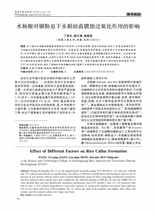 水杨酸对铜胁迫下水稻幼苗膜脂过氧化作用的影响