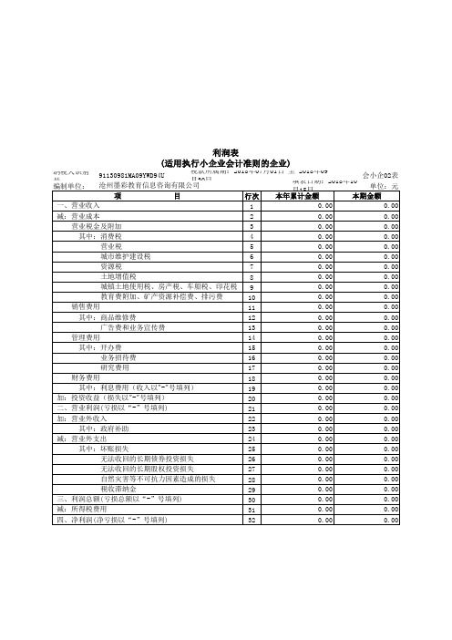 29836_002_利润表(适用于执行小企业会计准则财务报表)__