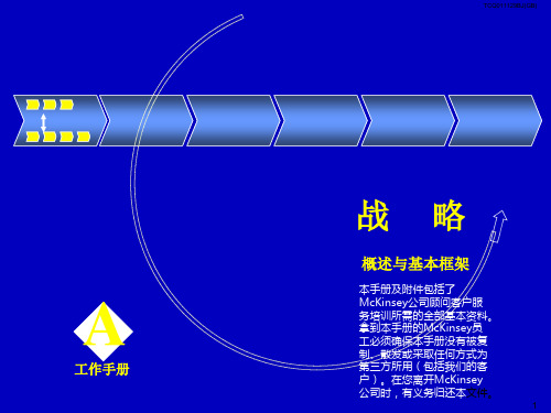 终稿-麦肯锡-战略、组织、营销、团队咨询培训手册