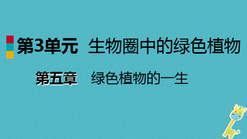 七年级生物上册第三单元第五章第一节植物种子的萌发课件新版苏教版