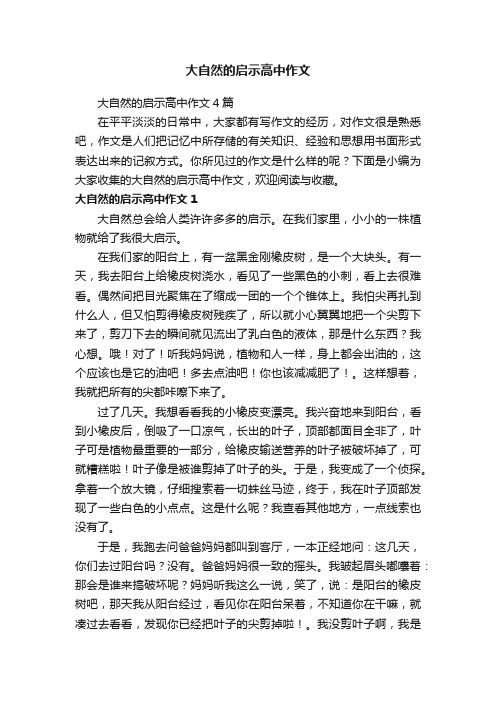 大自然的启示高中作文4篇