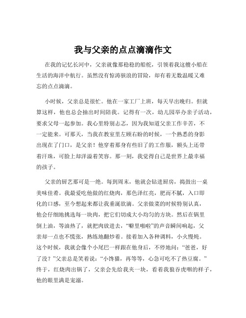 我与父亲的点点滴滴作文