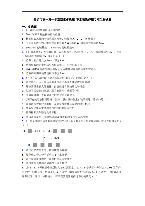 临沂市高一第一学期期末多选题 不定项选择题专项生物试卷