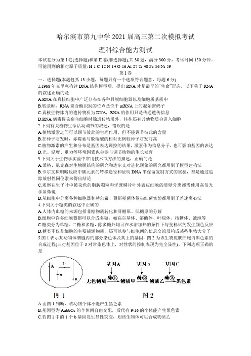 黑龙江省哈尔滨市第九中学2021届高三第二次模拟考试  理科综合(Word 有答案)