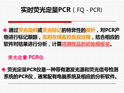 实时荧光定量PCR