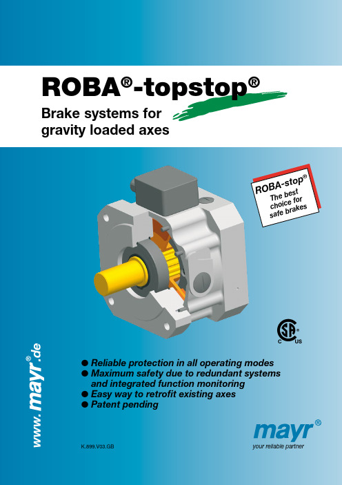 ROBA制动器系统说明
