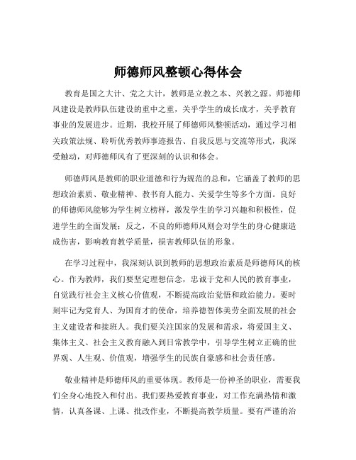 师德师风整顿心得体会