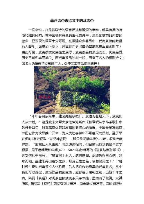 品茗论茶古诗文中的武夷茶