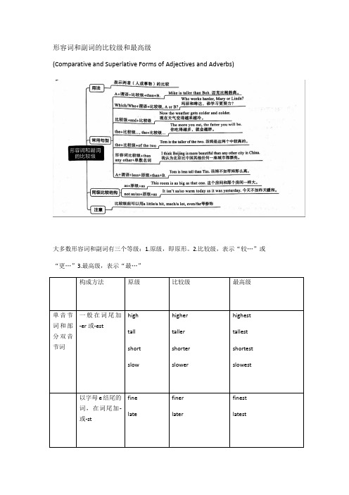 Unit 3 形容词和副词的比较级和最高级 人教版八年级英语上册