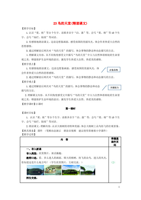 五年级语文上册第七单元第23课鸟的天堂教案新人教版