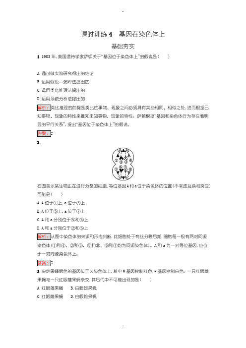 2019-2020年人教版高中生物必修二 练习-第2章 基因和染色体的关系 2.2含答案