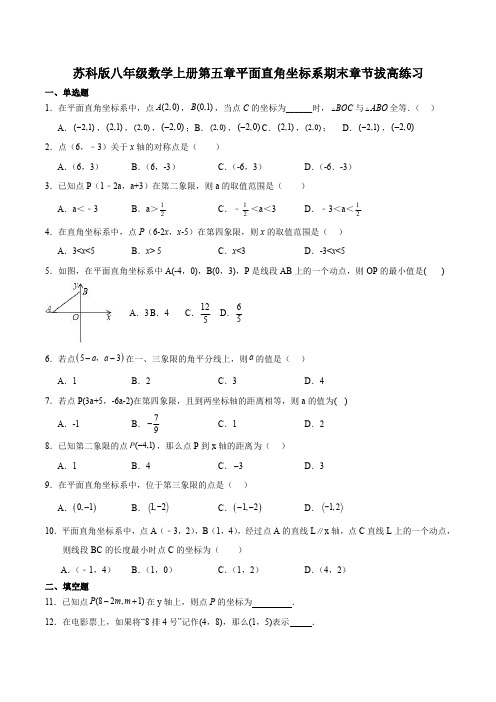 苏科版八年级数学上册第五章平面直角坐标系期末章节拔高练习