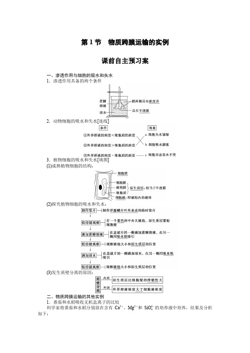 2020学年高考生物人教版解题核心整合必修一讲义：第4章 细胞的物质输入与输出 4.1 Word版含答案