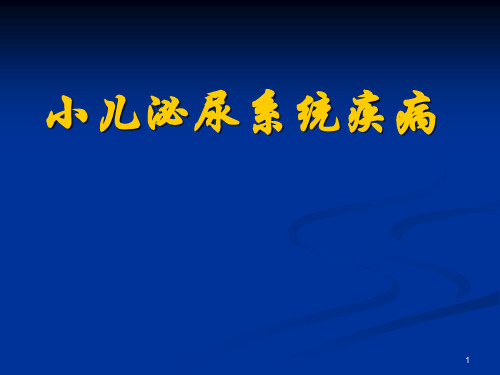 小儿泌尿系统疾病ppt课件